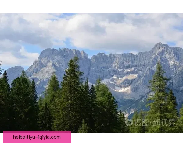 AV阿尔塔遭遇山谷559的零比一失利艰难战局令人惋惜